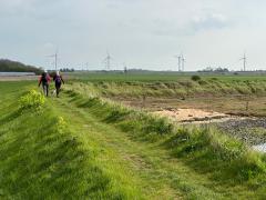 Wind farms, near Burnham